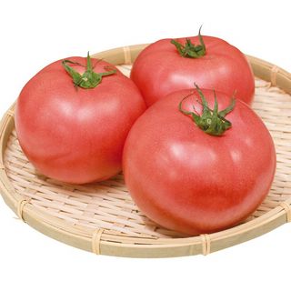 熊本産 とまと 1パック・3玉入