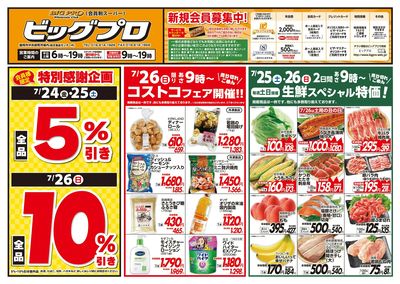 ビッグプロ