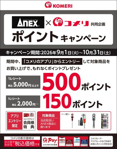 Anex ポイントキャンペーン
