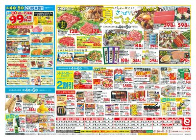 8/4号