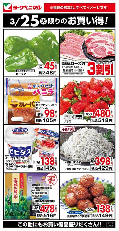 3/25限りのお買い得!