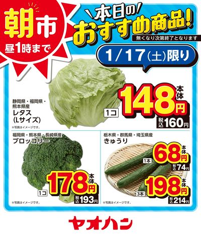本日のおすすめ商品!