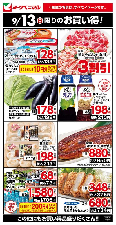 9/13限りのお買い得!