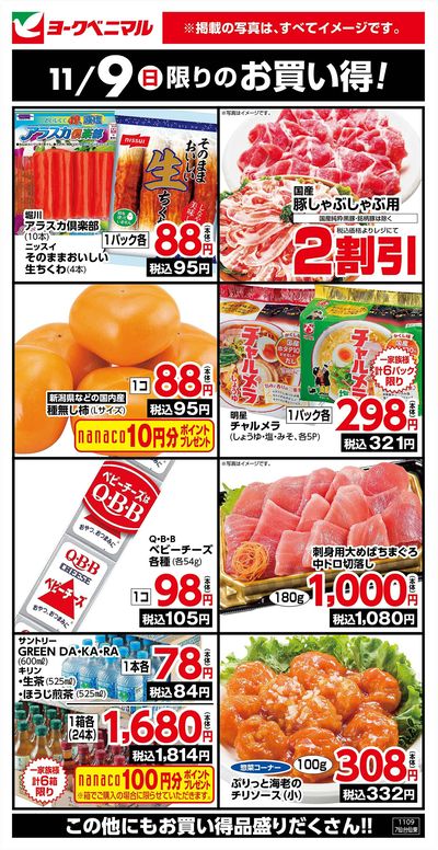 11/9限りのお買い得!