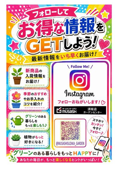 ムサシ須坂店おススメ情報!
