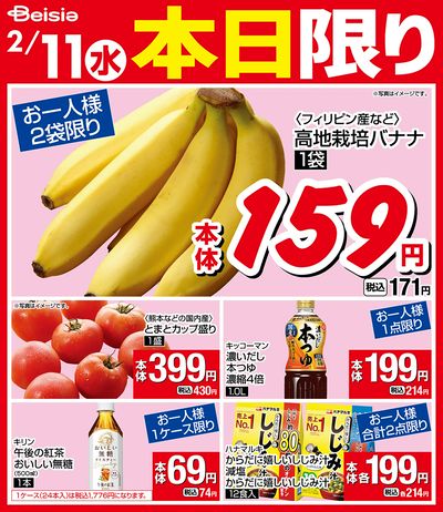 2/11限りのお買い得!