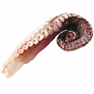 <北海道産>解凍煮だこ味刺身用