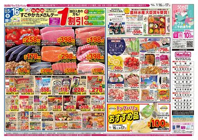 5/16号 カメさんデー/涼味まつり:オモテ