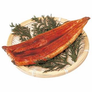 うなぎ長蒲焼