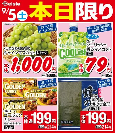 9/5限りのお買い得!