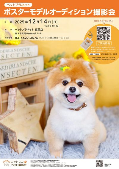 ポスターモデルオーディション撮影会を開催!