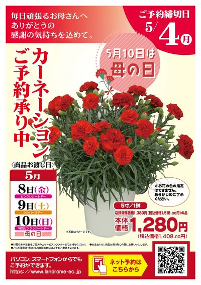 2026年カーネーションご予約