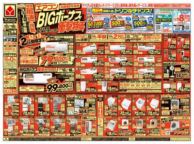 BIGボーナス衝撃特価!(おもて)