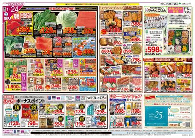 1/24号 カメさんデー:オモテ