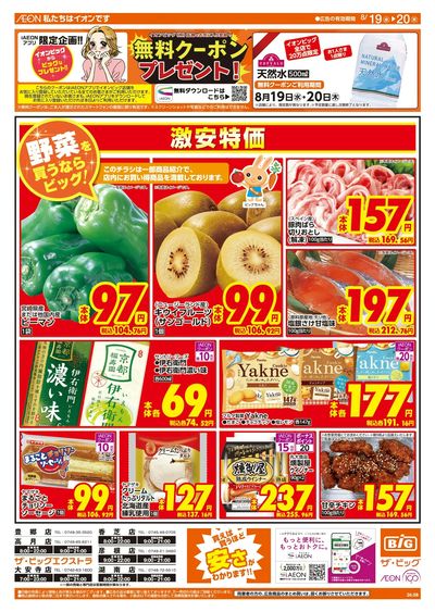 8/19週中チラシ(オモテ)