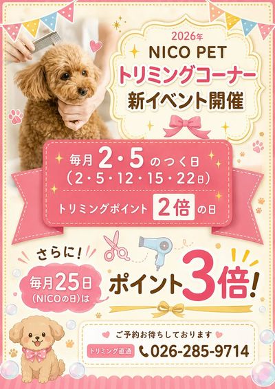 ムサシ須坂店おススメ情報!