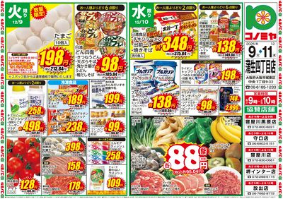 1209号_別版チラシ_表