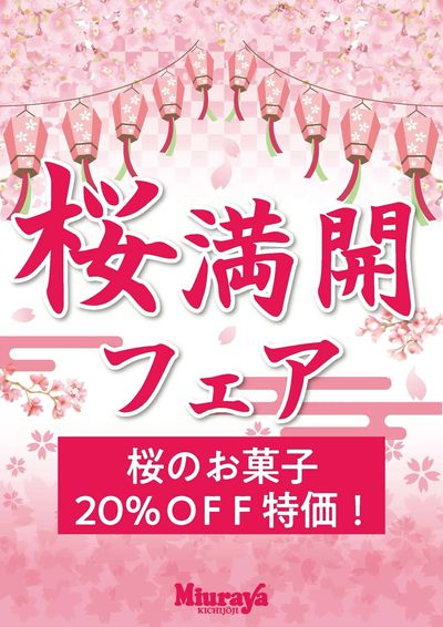 桜満開フェアお知らせ