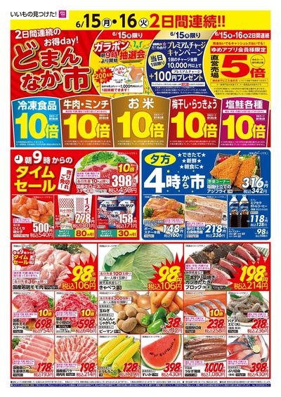 6/15~16 どまんなか市