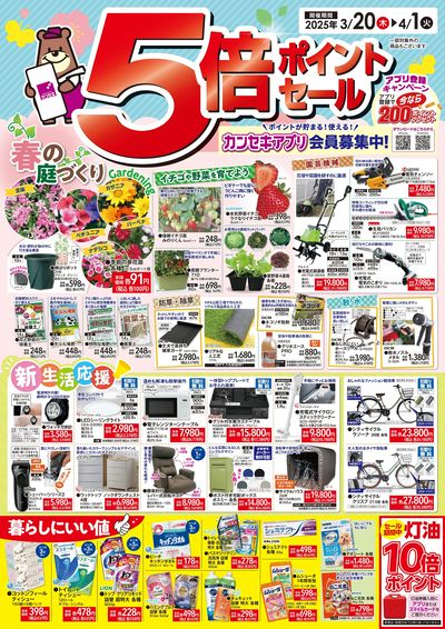 カンセキ5倍ポイントセール!