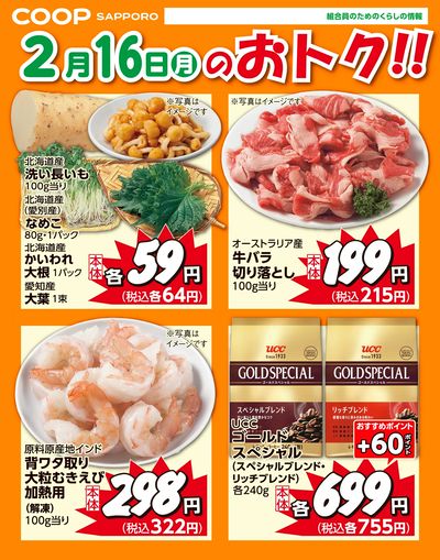2月16日お買得品