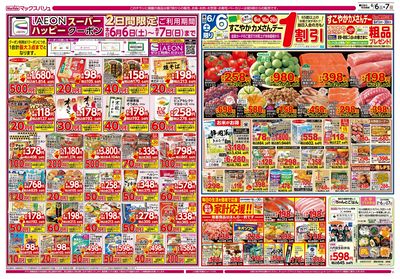 6/6号 カメさんデー/マックスサンデー/初夏の中華:オモテ