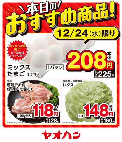 本日のおすすめ商品!