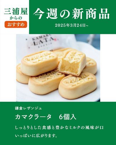0324新商品_カマクラータ
