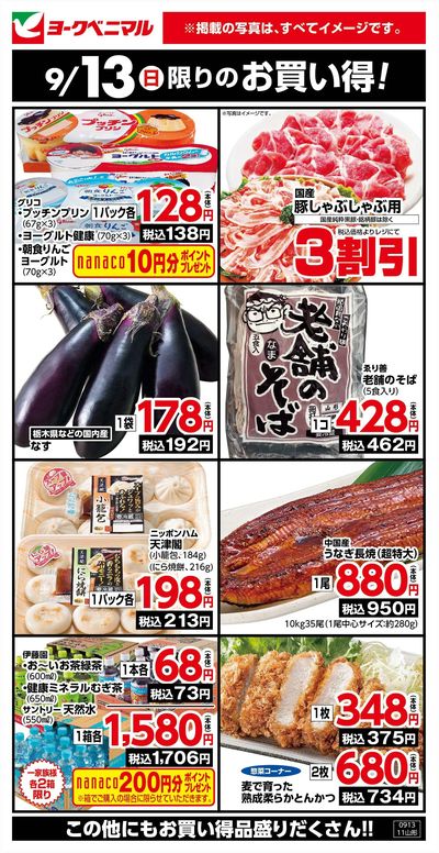9/13限りのお買い得!