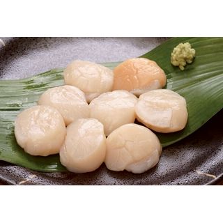 生食用ほたて貝柱(解凍)
