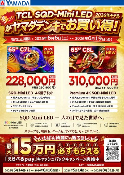 【TCL】ヤマダデンキでお買い得!
