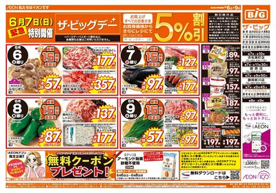 6月6日号週末チラシ(おもて)