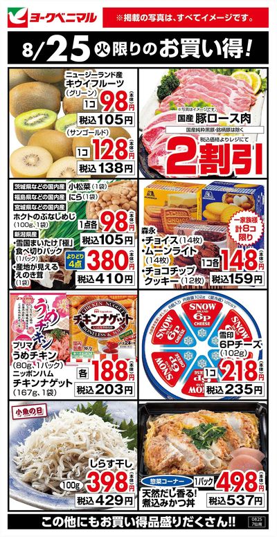 8/25限りのお買い得!