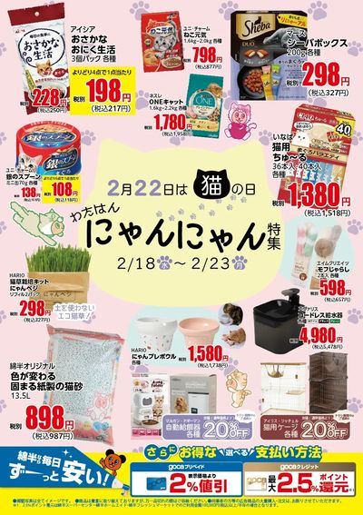 2月22日は猫の日!わたはん にゃんにゃん特集=^_^=