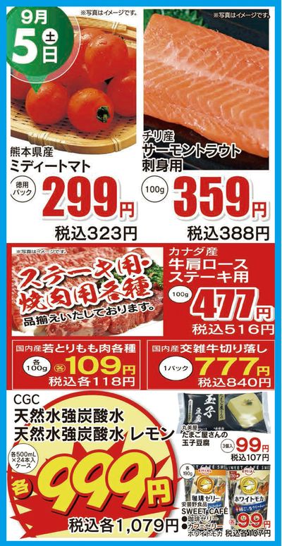 9.5日替