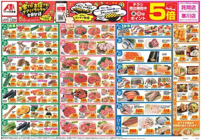 6月17日開始チラシ:表