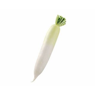 千葉県産他大根