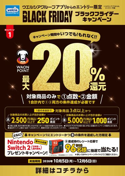 ブラックフライデーキャンペーン