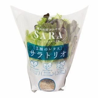 岡山産 サラトリオレタス 1袋