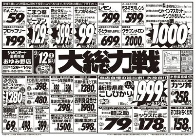 大総力戦