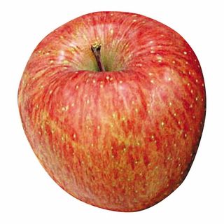 青森産 サンフジ 1玉