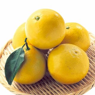 宮崎産 日向夏みかん 1袋