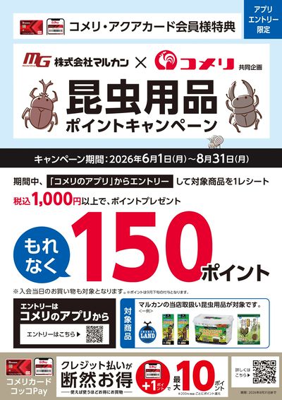 マルカン 昆虫用品ポイントキャンペーン