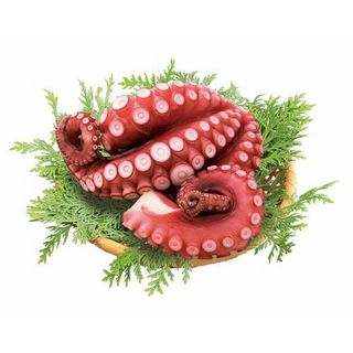 モーリタニア産蒸したこ(真たこ)生食用