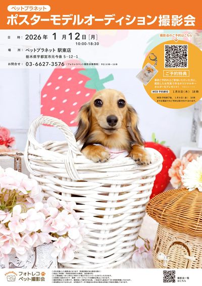 ポスターモデルオーディション撮影会開催!