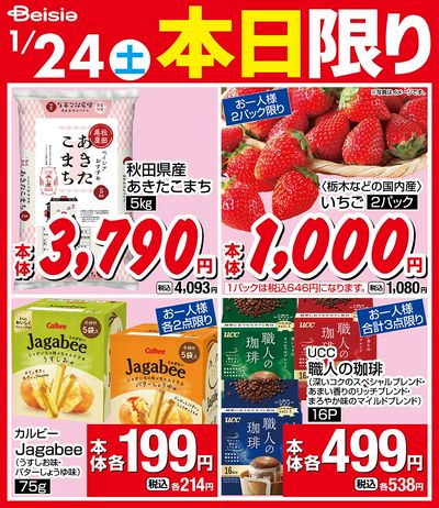 1/24限りのお買い得!