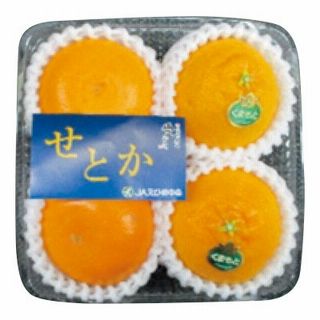 旬の柑橘詰合せ!(熊本県産デコポン/愛媛県産せとかミックス)(中玉)