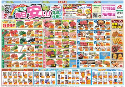 6月24日開始チラシ:表