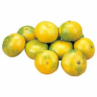 ゆら早生みかん