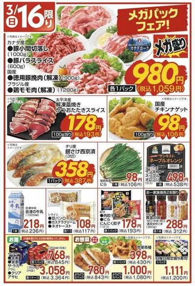 3/16(日)限定